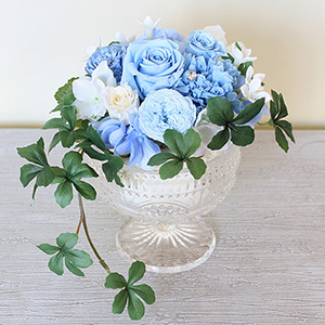 �v���U�[�u�h�t�����[�u�A�N�A�E�����N�X�v