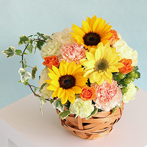 �A�����W�����g�uSunflower Fresh�v