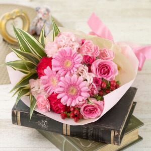 ԑuCheerfulness GerberaEPinkv