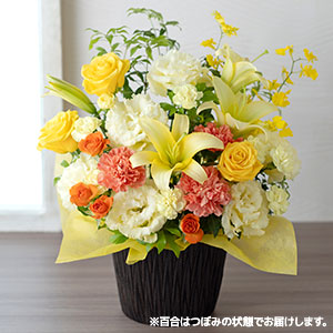 AWguanniversary flower`gp[Y`v