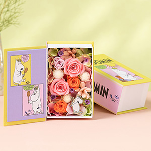 MOOMIN@vU[uht[ut[ubN@rG̃[~v