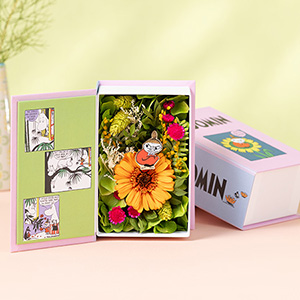 MOOMIN@vU[uht[ut[ubN@[~JWOɁv