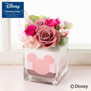 �f�B�Y�j�[/�v���U�[�u�h�t�����[�u�X�C�[�g�E�}�W�b�N�`�s�[�`�`�v