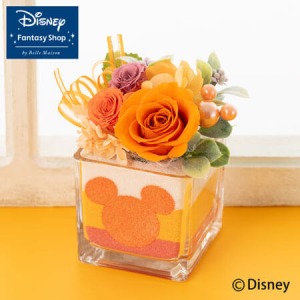 �f�B�Y�j�[/�v���U�[�u�h�t�����[�u�X�C�[�g�E�}�W�b�N�`�T���V���C���`�v