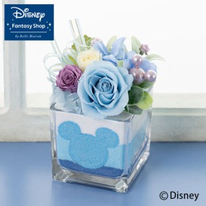 �f�B�Y�j�[/�v���U�[�u�h�t�����[�u�X�C�[�g�E�}�W�b�N�`�A�N�A�}�����`�v