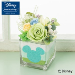 �f�B�Y�j�[/�v���U�[�u�h�t�����[�u�X�C�[�g�E�}�W�b�N�`�t���b�V���~���g�`�v