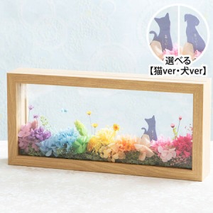 �v���U�[�u�h�t�����[�u���̂����ƂŁv��