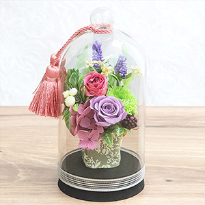 EX�������ԁ@�v���U�[�u�h�t�����[�u�����@�s���N�v