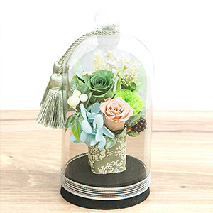 EX�������ԁ@�v���U�[�u�h�t�����[�u�����@�O���[���v