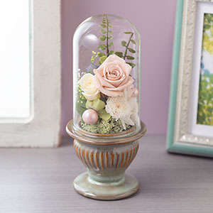 �������ԁ@�v���U�[�u�h�t�����[�u���J�@�x�[�W���s���N�v