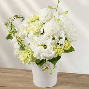 �������ԁ@�A�����W�����g�u�F�蓔�`���̂�с`(��)�v