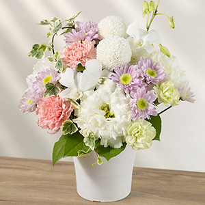 �������ԁ@�A�����W�����g�u�F�蓔�`���̂�с`(�W��)�v