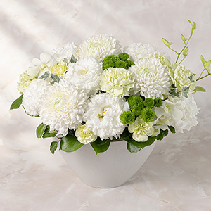 �������ԁ@�A�����W�����g�u�I�z(��)�v