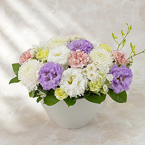 �������ԁ@�A�����W�����g�u�I�z(�W��)�v