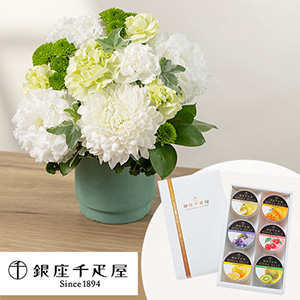�������� �A�����W�����g�Z�b�g�u�����D���@����[���[�i���j�v