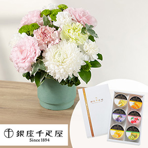 �������� �A�����W�����g�Z�b�g�u�����D���@����[���[�i���j�v