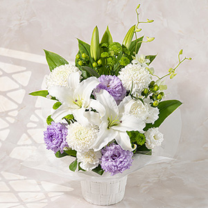 �������ԁ@�A�����W�����g�u�ǉ�(�W��)�v