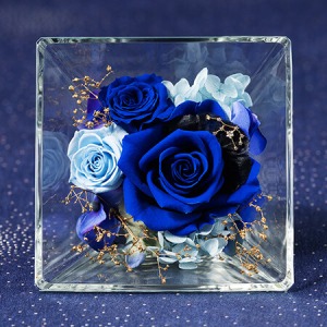 �v���U�[�u�h�t�����[�u�R�t���E�h�E�X�e���`�������`�v