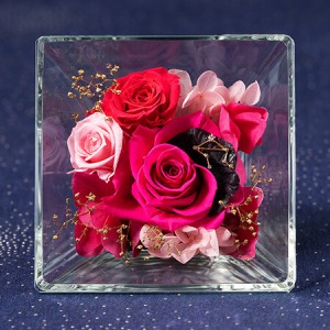 �v���U�[�u�h�t�����[�u�R�t���E�h�E�X�e���`�V�����`�v