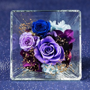 �v���U�[�u�h�t�����[�u�R�t���E�h�E�X�e���`�ˎ���`�v