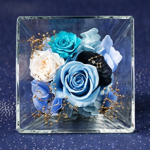 �v���U�[�u�h�t�����[�u�R�t���E�h�E�X�e���`�����`�v