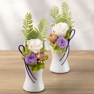 �������ԁ@�v���U�[�u�h�t�����[�u�o�؁`Souka�`�v