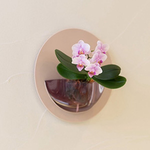 ���A���u�ǂɉԍ炭�����ȌӒ��� ranto HALO�i�s���N�j�v