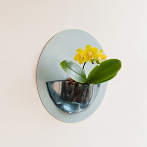 ���A���u�ǂɉԍ炭�����ȌӒ��� ranto HALO�i�C�G���[�j�v