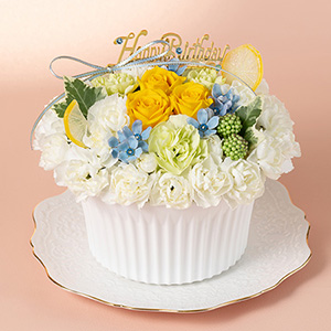 �A�����W�����g�u�ԍ炭�o�[�X�f�[�P�[�L�`3�� �A�N�A�}�����`�v