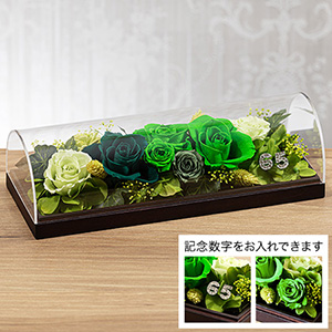 �v���U�[�u�h�t�����[�u�O�����E�u���[���`VIVID GREEN�`�v
