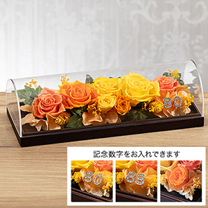 �v���U�[�u�h�t�����[�u�O�����E�u���[���`BRIGHT ORANGE�`�v
