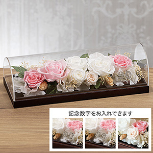 �v���U�[�u�h�t�����[�u�O�����E�u���[���`PEARL WHITE�`�v