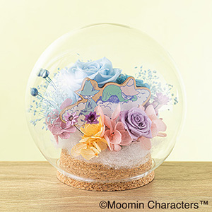 MOOMIN/�v���U�[�u�h�t�����[�u�t�����[�h�[���@���N�T�����X�i�t�L���v
