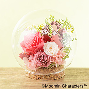 MOOMIN/�v���U�[�u�h�t�����[�u�t�����[�h�[���@���g���~�C���j���j�v
