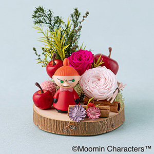 MOOMIN/�v���U�[�u�h�t�����[�u�؂芔�A�����W�����g�@���g���~�C�v