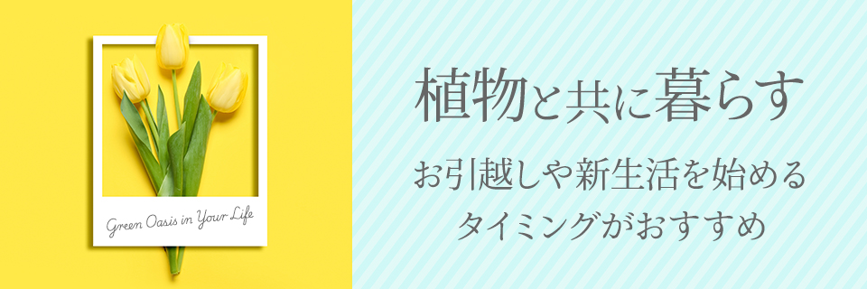 �A���Ƌ��ɕ�炷