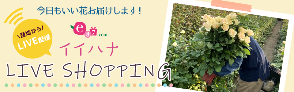 イイハナLIVE SHOPPING 特設ページ