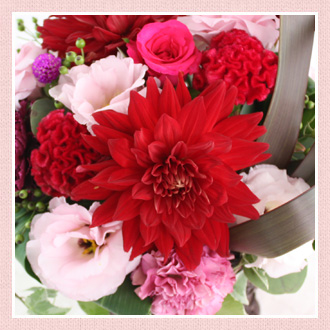 10月の花贈り記念日のイメージ画像