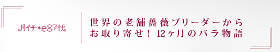 C`e87ց@E̘VKNu[_[炨񂹁I 12̃o