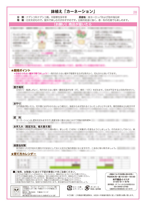 イイハナの栽培説明書 カーネーション