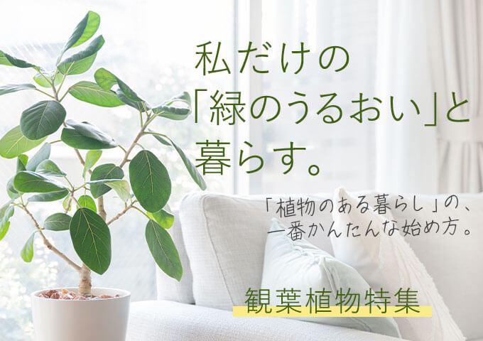 �ϗt�A���E�C���e���A�O���[�����W