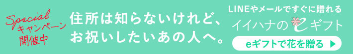 �y�C�C�n�i��e�M�t�g�zLINE�⃁�[���ŁA���܂��������V�����M�t�g�̌`�B