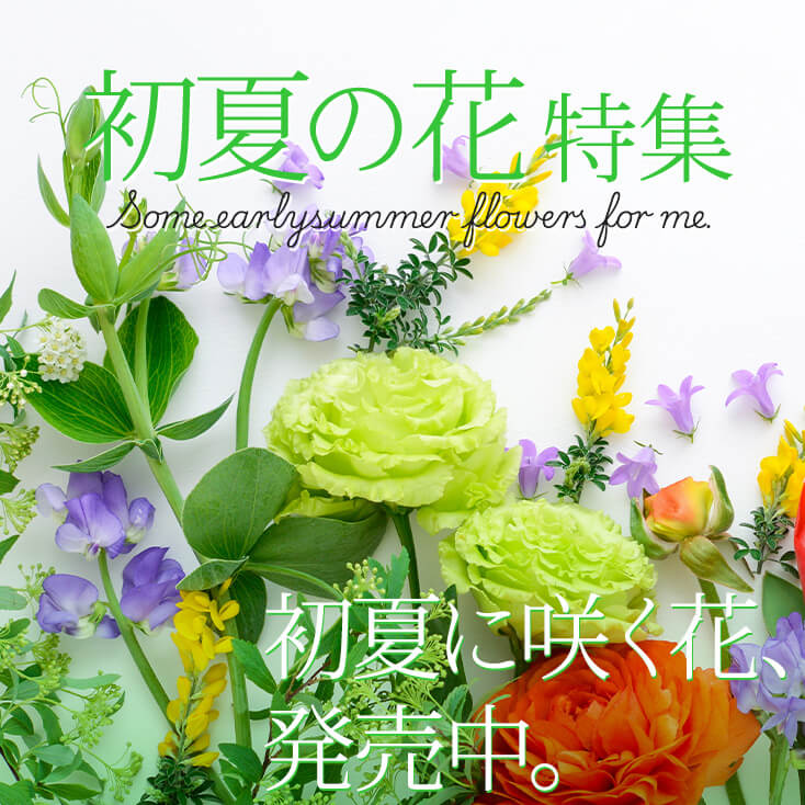 ���ẲԃM�t�g�E�v���[���g���W2026