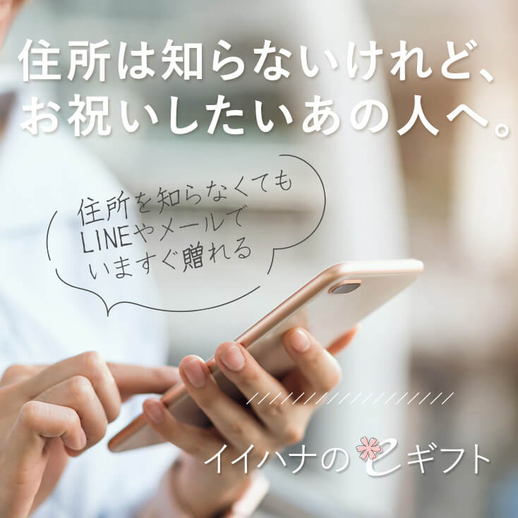 ���C�C�n�i��e�M�t�g