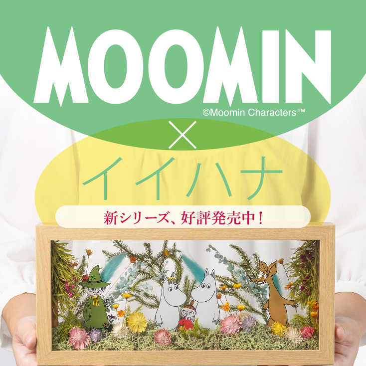 MOOMIN�~�C�C�n�i