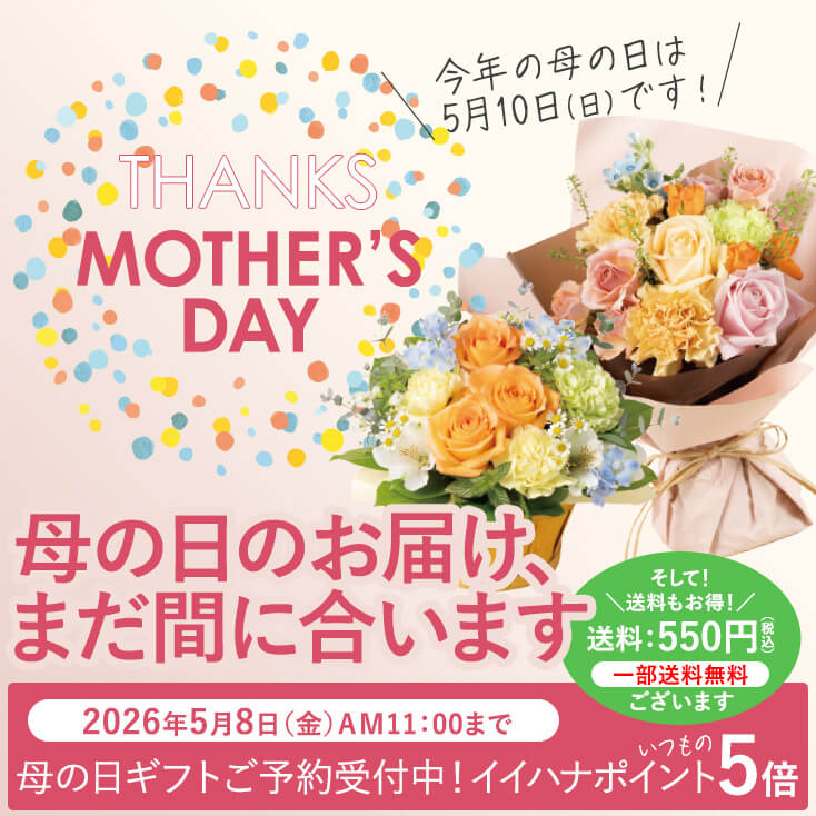 ��̓� �v���[���g�E�M�t�g���W 2026
