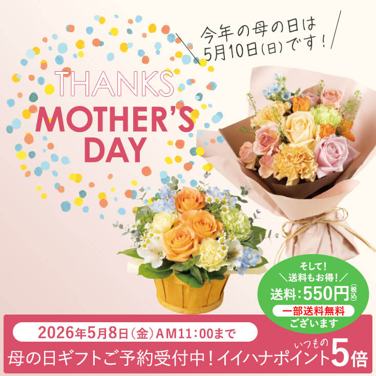 ��̓� �v���[���g�E�M�t�g���W 2026