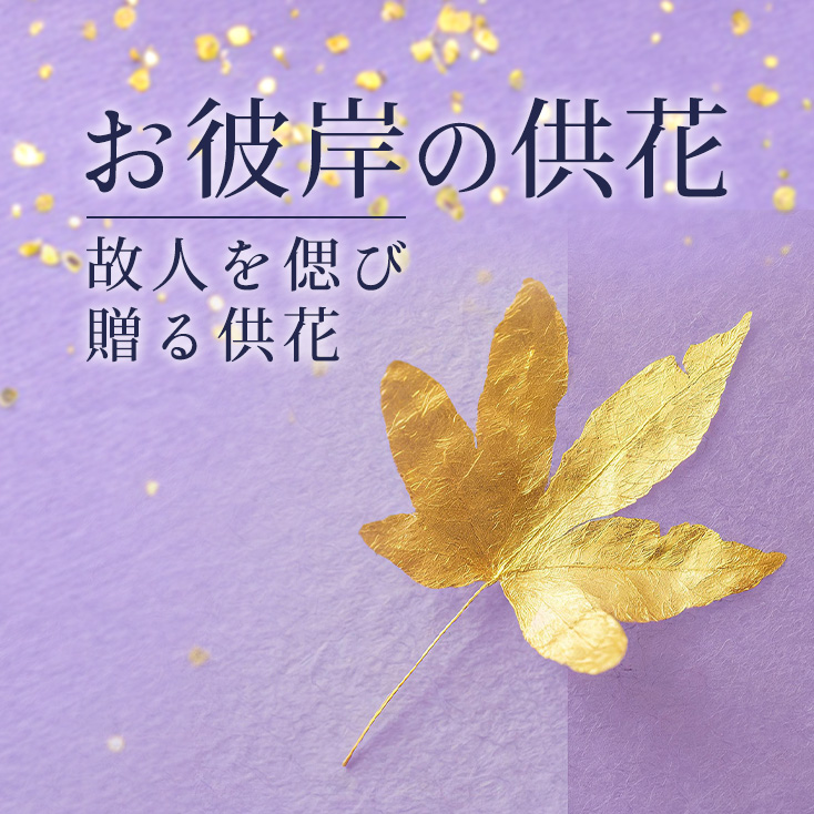 Ĥފ