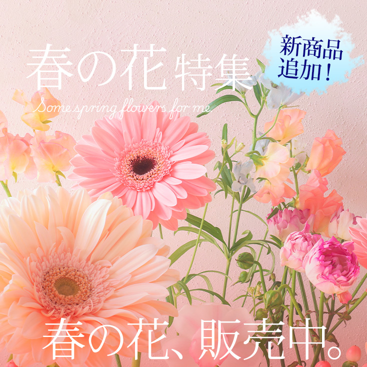 �t�̉ԃM�t�g�E�v���[���g���W2026