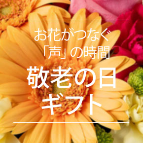 �h�V�̓� �v���[���g�E�M�t�g���W2026